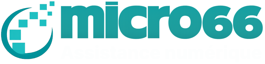 Micro66