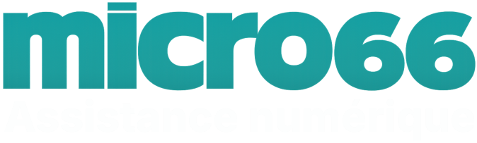 Micro66