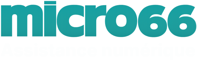 Micro66